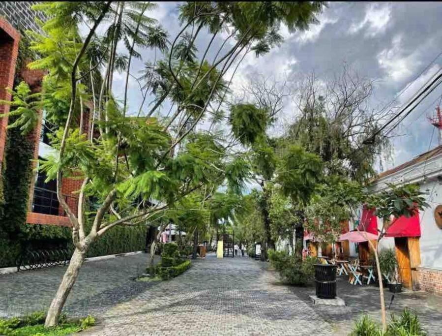 Makachi Hotel Guatemala City Exteriör bild